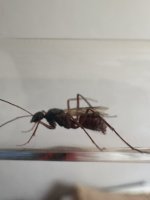 IMG_5027.jpeg