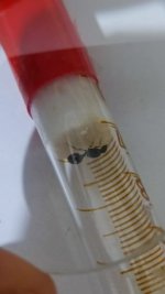 IMG_20250613_195903.jpg