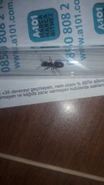20250613_204230.jpg