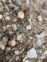 IMG_5289.jpeg