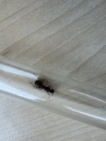 IMG_1078.jpeg