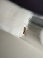 IMG_0197.jpeg