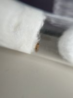 IMG_0201.jpeg