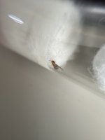IMG_0199.jpeg