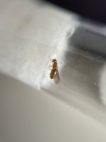 IMG_0198.jpeg