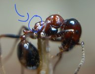 20250614_174148.jpg 20250614_174148.jpg
