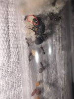 IMG_5303.jpeg