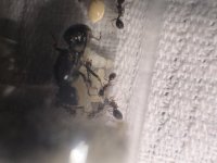 IMG_5302.jpeg