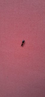 20250614_201226.jpg