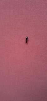 20250614_201227.jpg