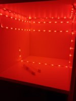 20250614_213906.jpg
