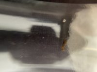 IMG_0218.jpeg
