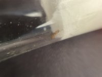 IMG_0211.jpeg