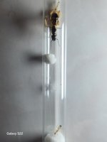 20250614_190248.jpg