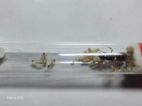 20250614_185957.jpg