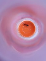 20250615_164433.jpg