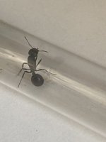 IMG_2750.jpeg