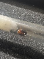 IMG_0160.jpeg