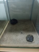 IMG_20250615_184228.jpg