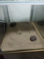 IMG_20250615_184225.jpg