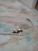 20250615_214112.jpg