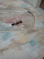 20250615_214105.jpg