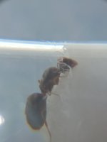 20250608_120341.jpg