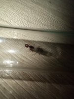 IMG_20250615_222325.jpg