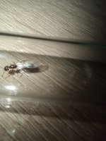 IMG_20250615_222327.jpg