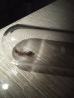 IMG_20250615_222333.jpg