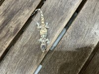 IMG_0091.jpeg