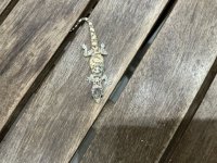 IMG_0089.jpeg