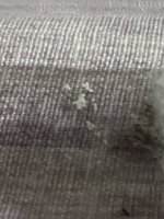 IMG_9036.jpeg