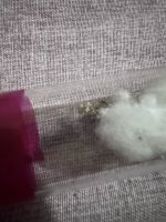 IMG_9034.jpeg