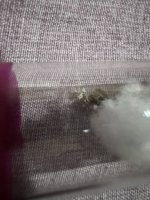 IMG_9033.jpeg