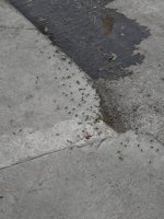 IMG_20250616_082344.jpg