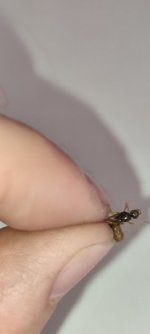 IMG_20250616_090726.jpg