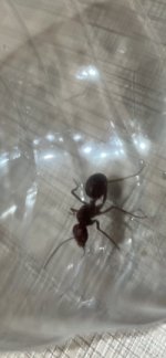 IMG_7577.jpeg