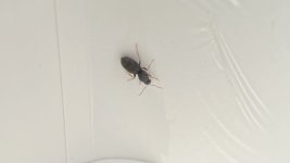 IMG_5679.jpeg