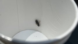 IMG_5681.jpeg