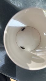 IMG_5677.jpeg
