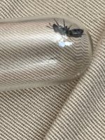 IMG_477C5C07-A79A-4BF0-858B-5A9A1AB4B809.jpeg