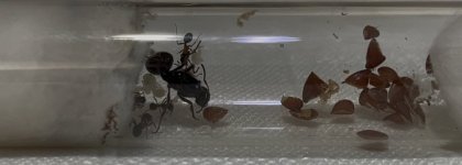 IMG_0925.jpeg