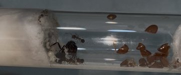 IMG_0926.jpeg