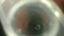IMG_20250616_202922.jpg