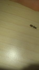 IMG_20250616_202716.jpg