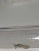 IMG_20250616_175633.jpg