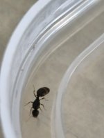 IMG_20250617_125746.jpg