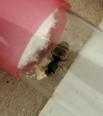 IMG_7973.jpeg