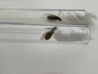 IMG_1979.jpeg